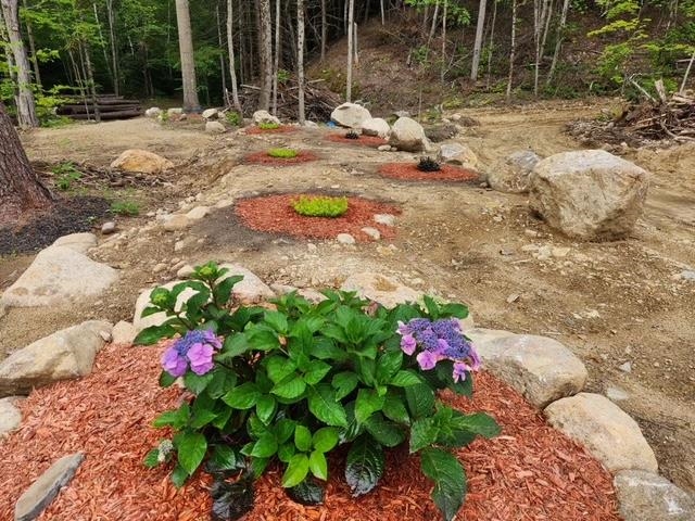 0 Losier Road Shelburne, NH 03581 - Photo 3 of 10