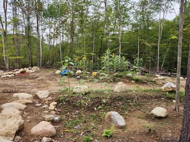 0 Losier Road Shelburne, NH 03581 - Photo 5 of 10