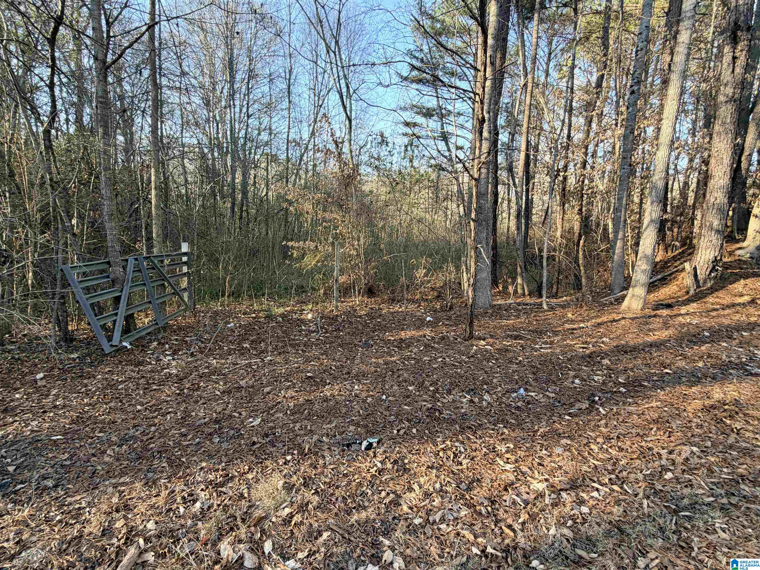 2 Scott Road Cordova, AL 35550 - Photo 4 of 8