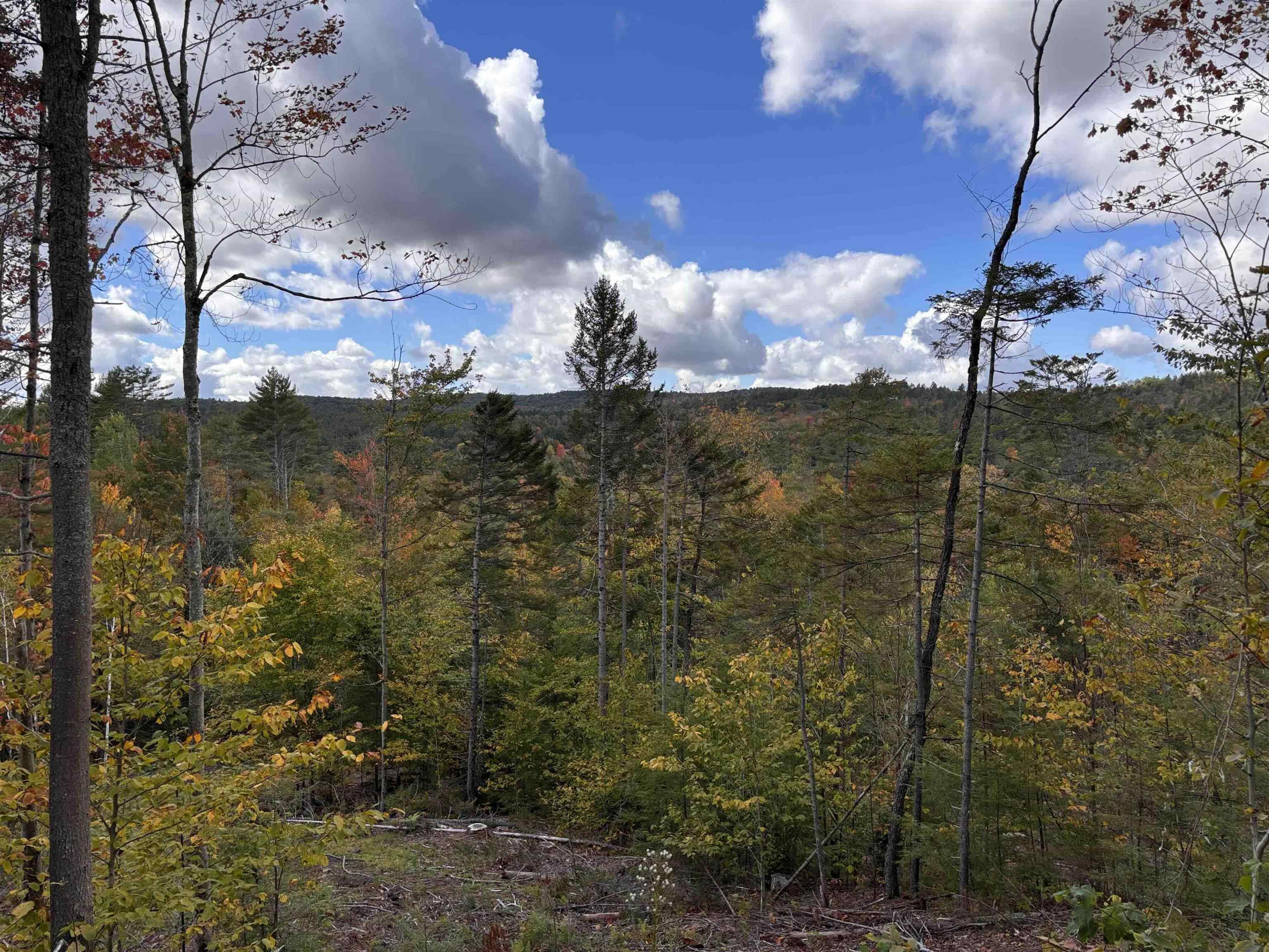 Lot 11-2 Ball Park Road Goshen, NH 03752 - Photo 11 of 27