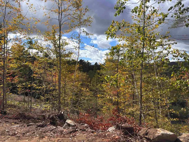 $139,000 | Lot 11-2 Ball Park Road, Goshen, NH 03752