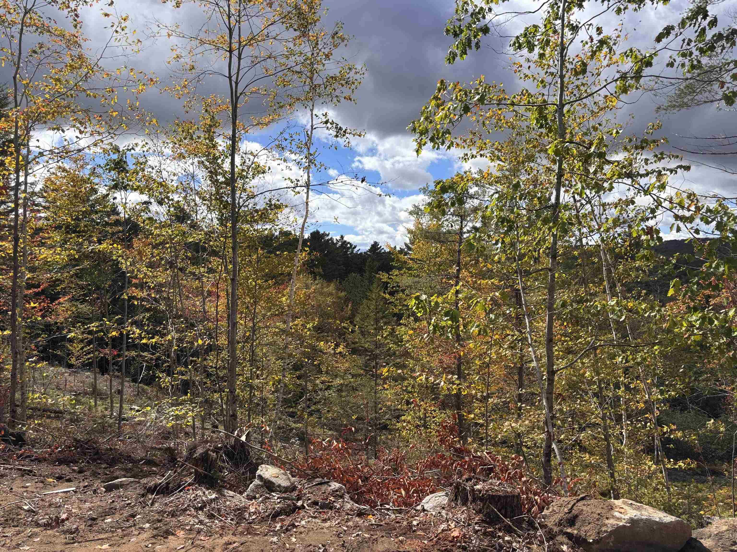 Lot 11-2 Ball Park Road Goshen, NH 03752 - Photo 12 of 27