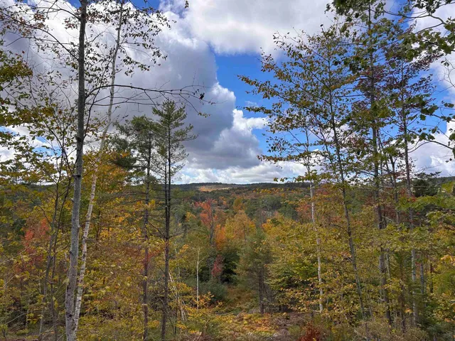 $139,000 | Lot 11-2 Ball Park Road, Goshen, NH 03752