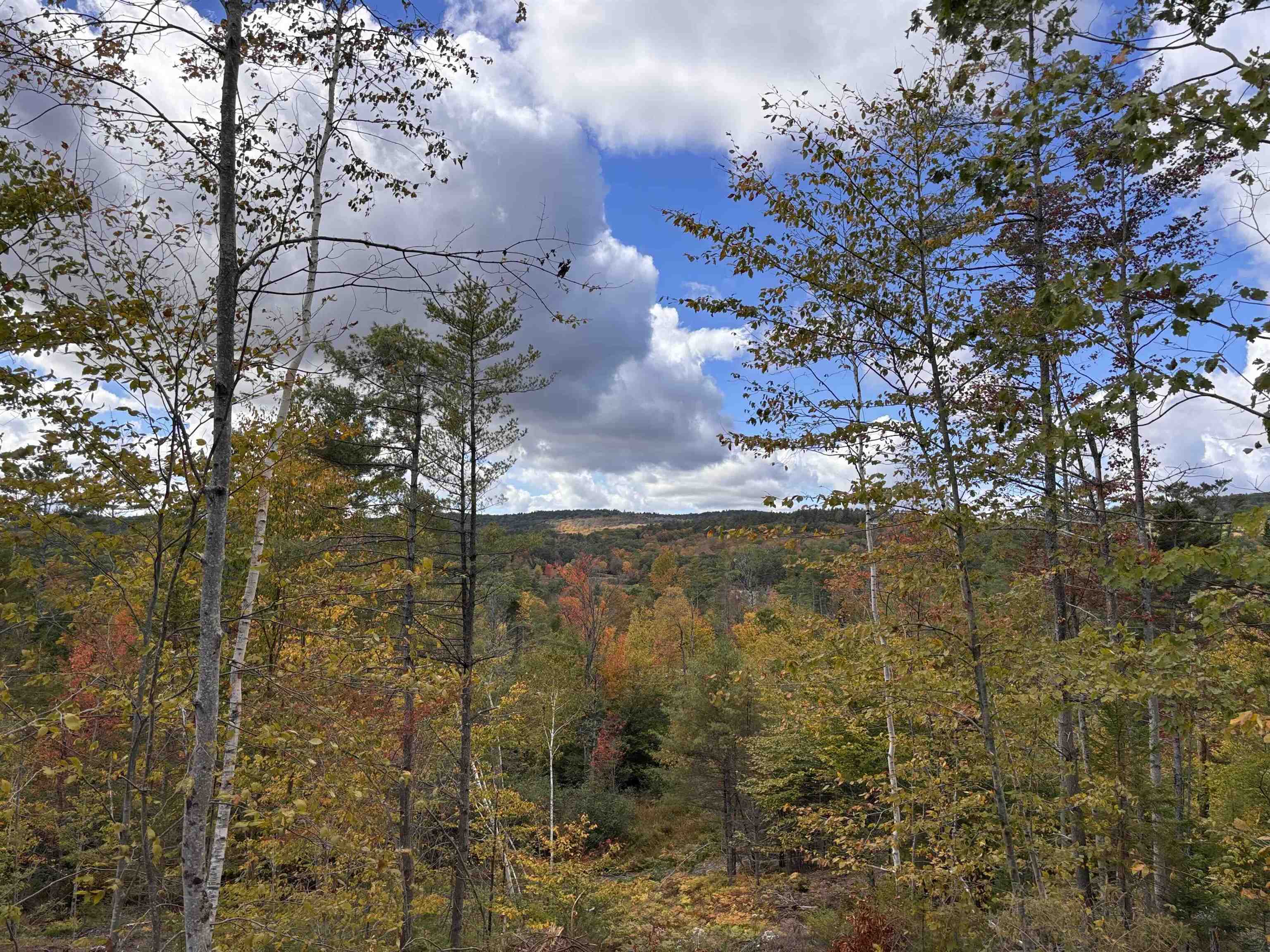 Lot 11-2 Ball Park Road Goshen, NH 03752 - Photo 13 of 27