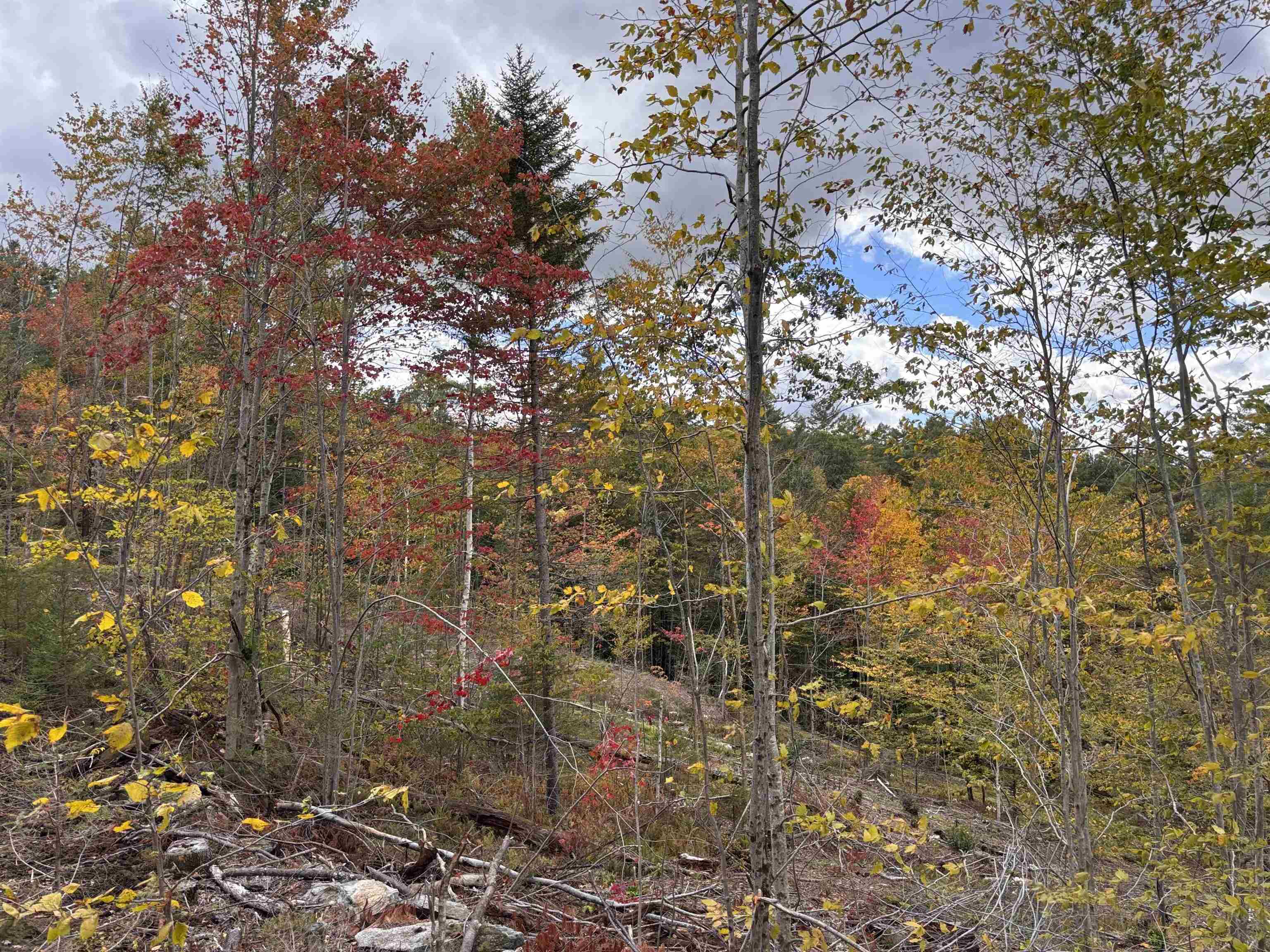 Lot 11-2 Ball Park Road Goshen, NH 03752 - Photo 14 of 27