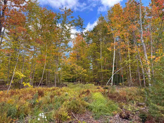 $139,000 | Lot 11-2 Ball Park Road, Goshen, NH 03752