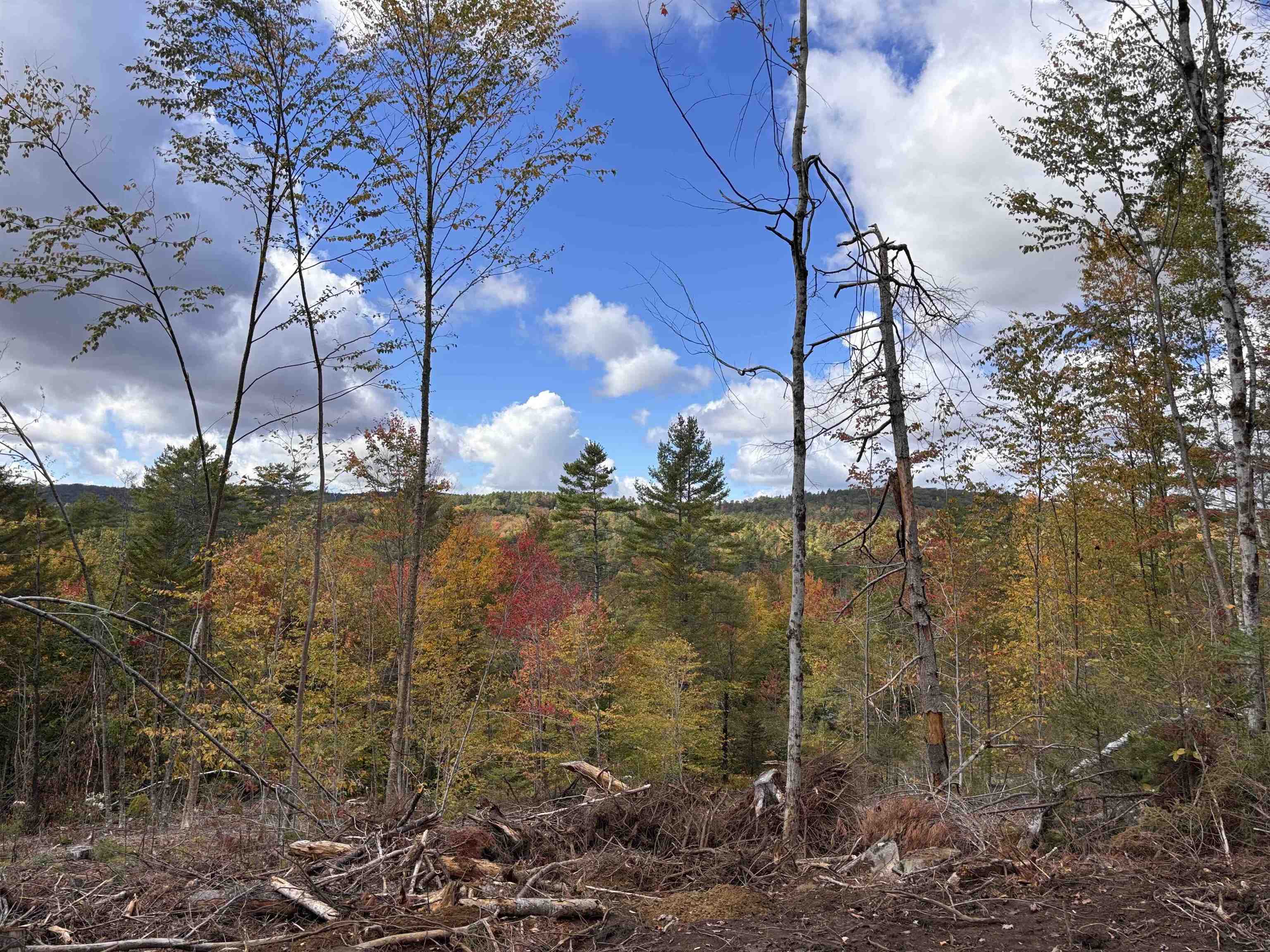 Lot 11-2 Ball Park Road Goshen, NH 03752 - Photo 16 of 27