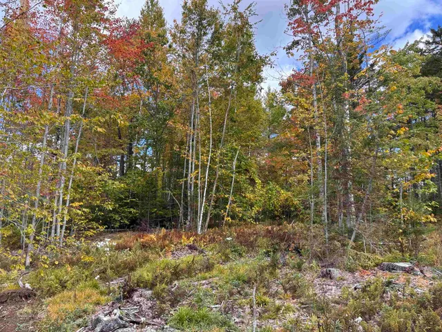 $139,000 | Lot 11-2 Ball Park Road, Goshen, NH 03752