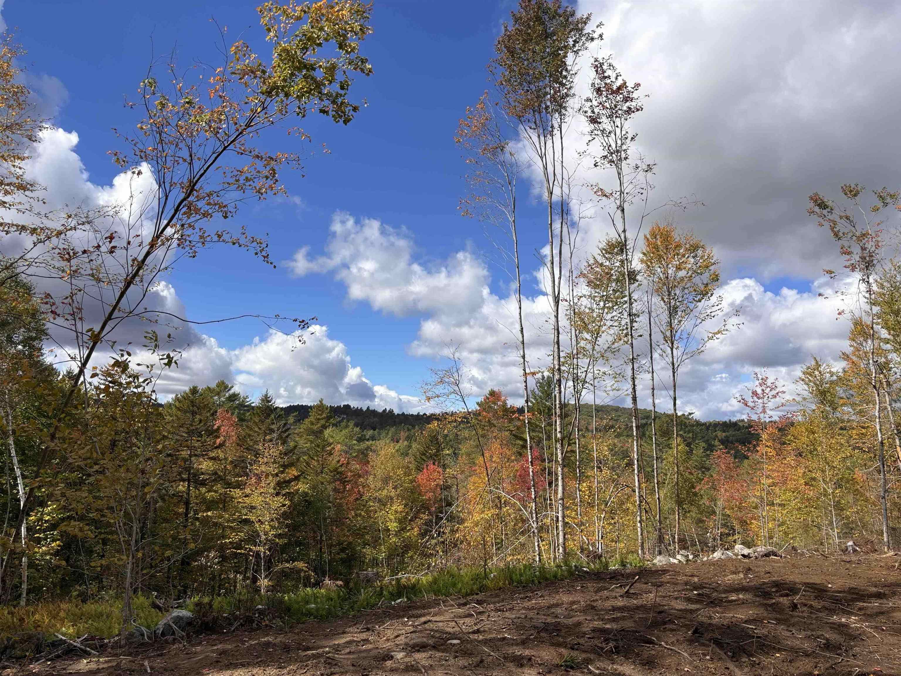 Lot 11-2 Ball Park Road Goshen, NH 03752 - Photo 18 of 27