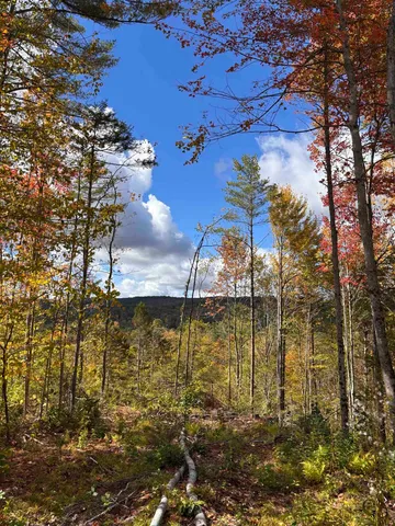 $139,000 | Lot 11-2 Ball Park Road, Goshen, NH 03752