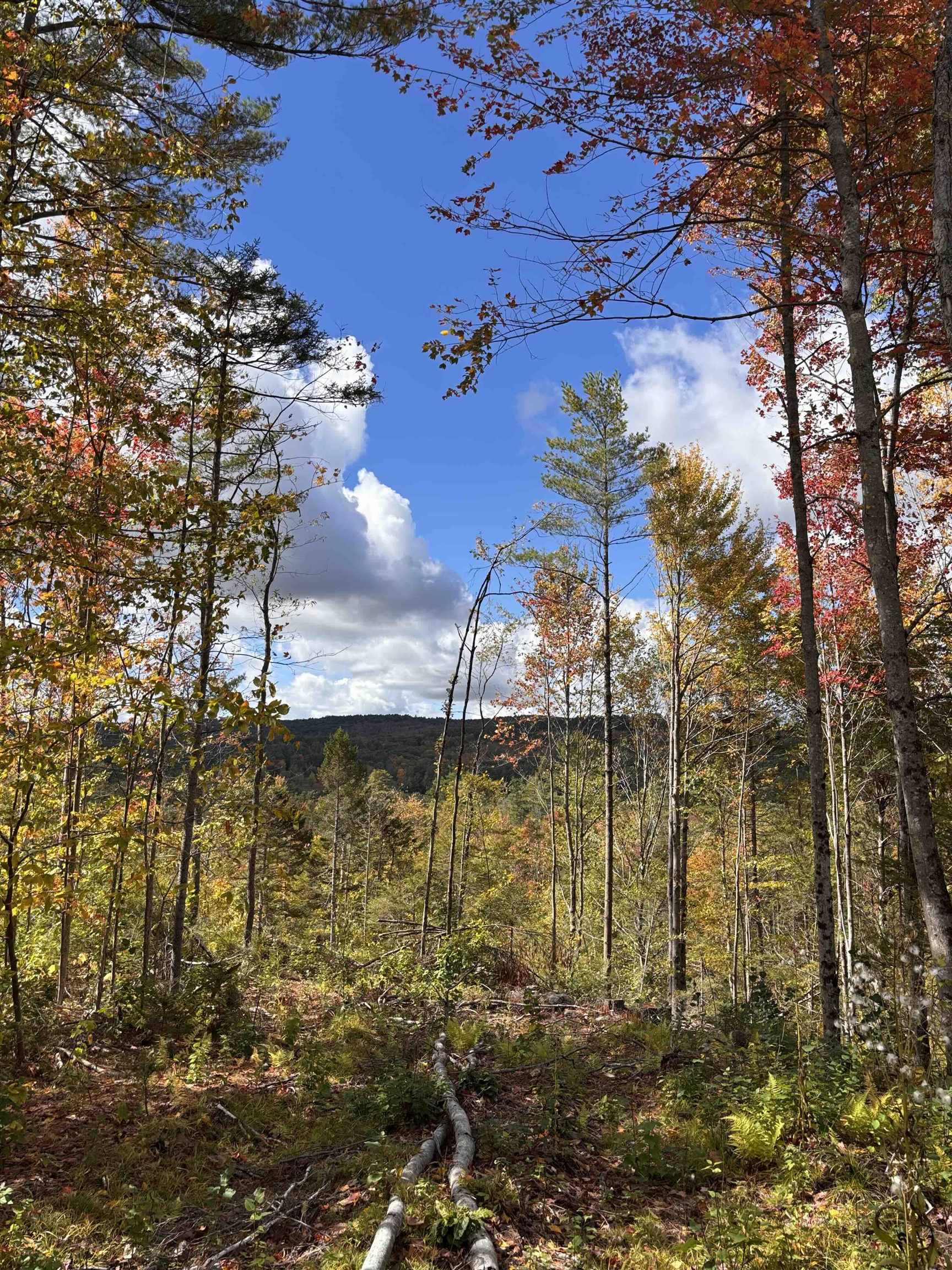 Lot 11-2 Ball Park Road Goshen, NH 03752 - Photo 19 of 27