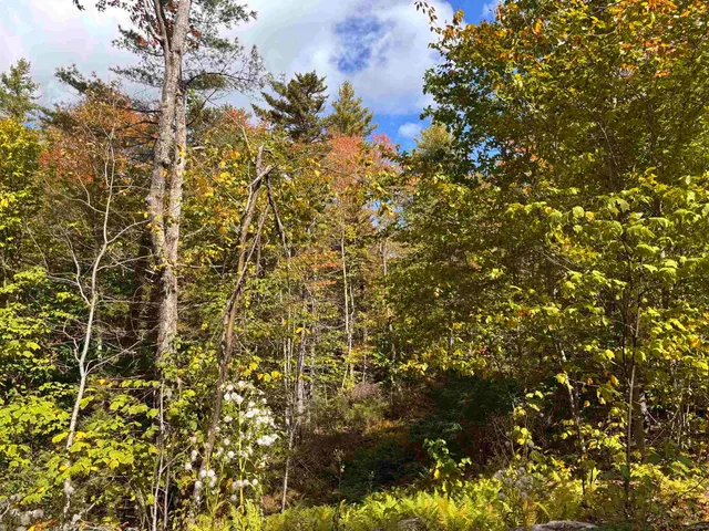 $139,000 | Lot 11-2 Ball Park Road, Goshen, NH 03752