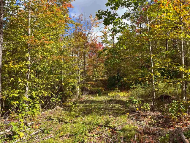 $139,000 | Lot 11-2 Ball Park Road, Goshen, NH 03752