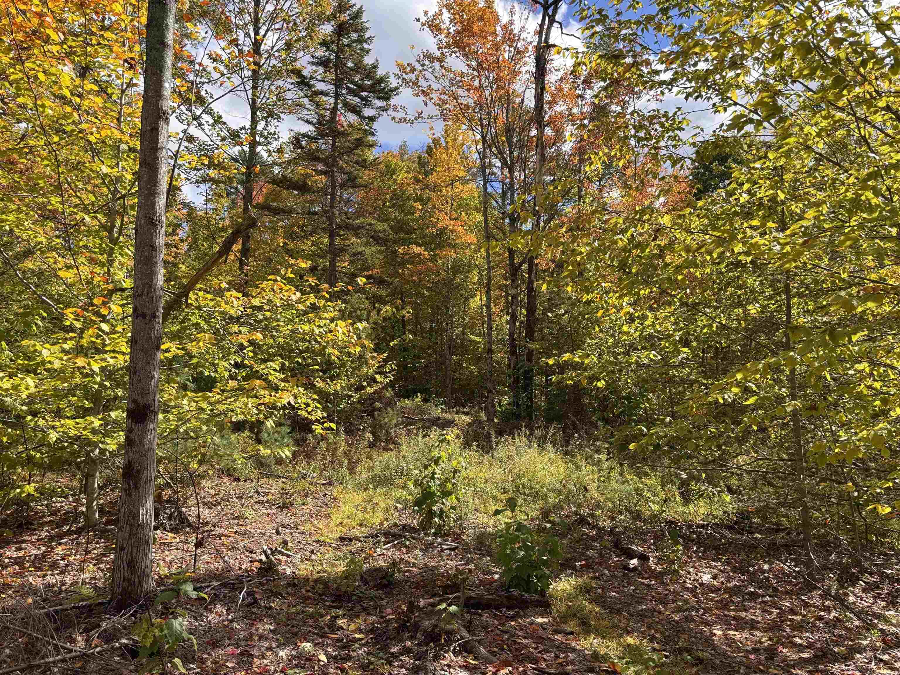 Lot 11-2 Ball Park Road Goshen, NH 03752 - Photo 22 of 27