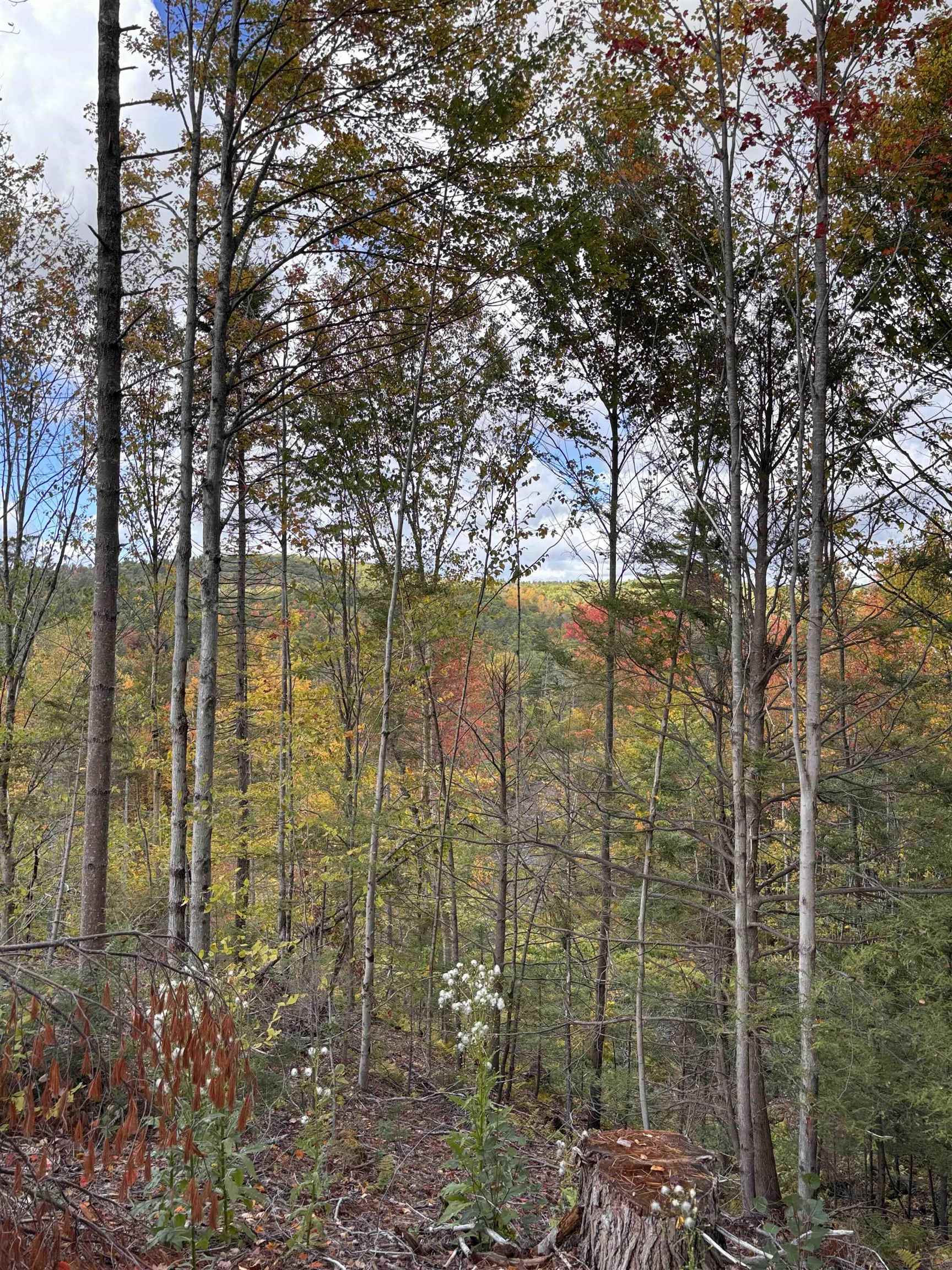 Lot 11-2 Ball Park Road Goshen, NH 03752 - Photo 23 of 27