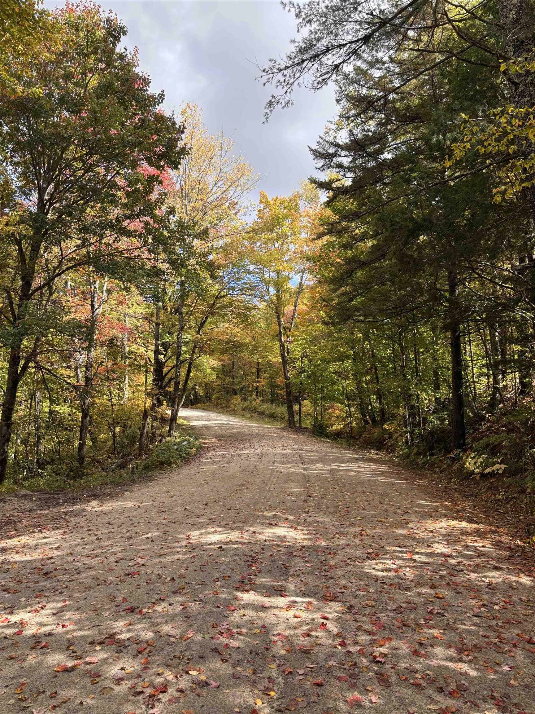 Lot 11-2 Ball Park Road Goshen, NH 03752 - Photo 27 of 27