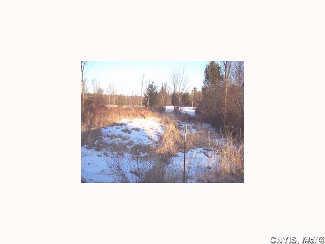 0 Log Hill Road Alexandria Bay, NY 13607 - Photo 1 of 1 Land
