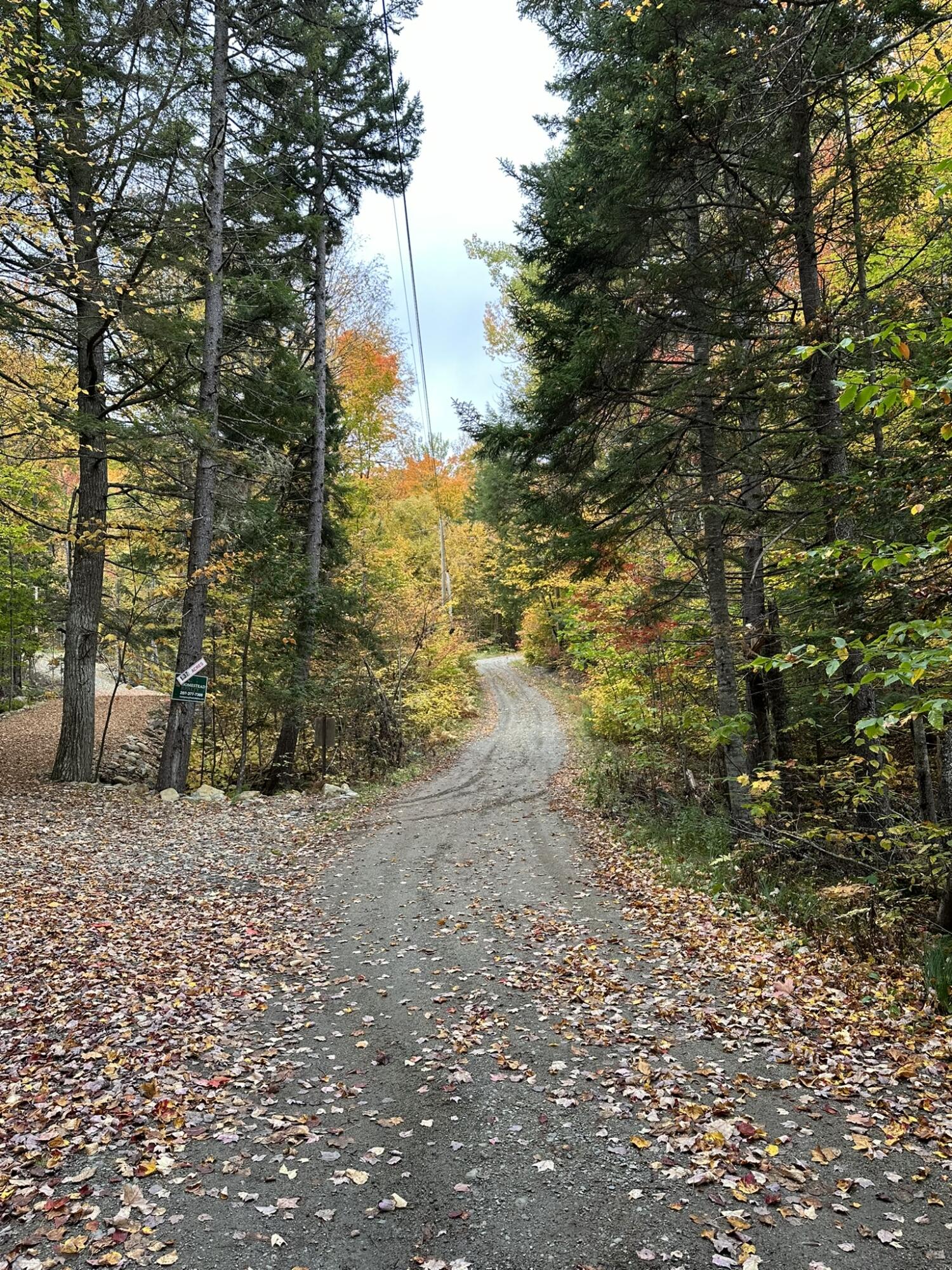 Lot #b-1 Mountain Road Stratton, ME 04982 - Photo 5 of 22 IMG_2656