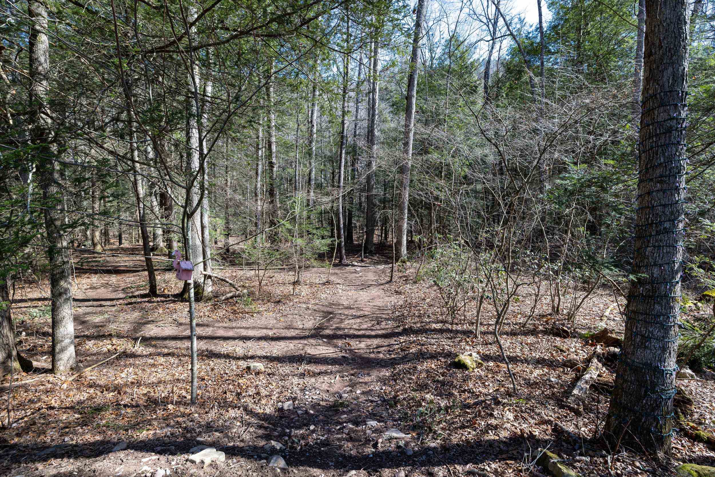 9601 Briery Branch Road Dayton, VA 22821 - Photo 49 of 73 Gallery Image 49