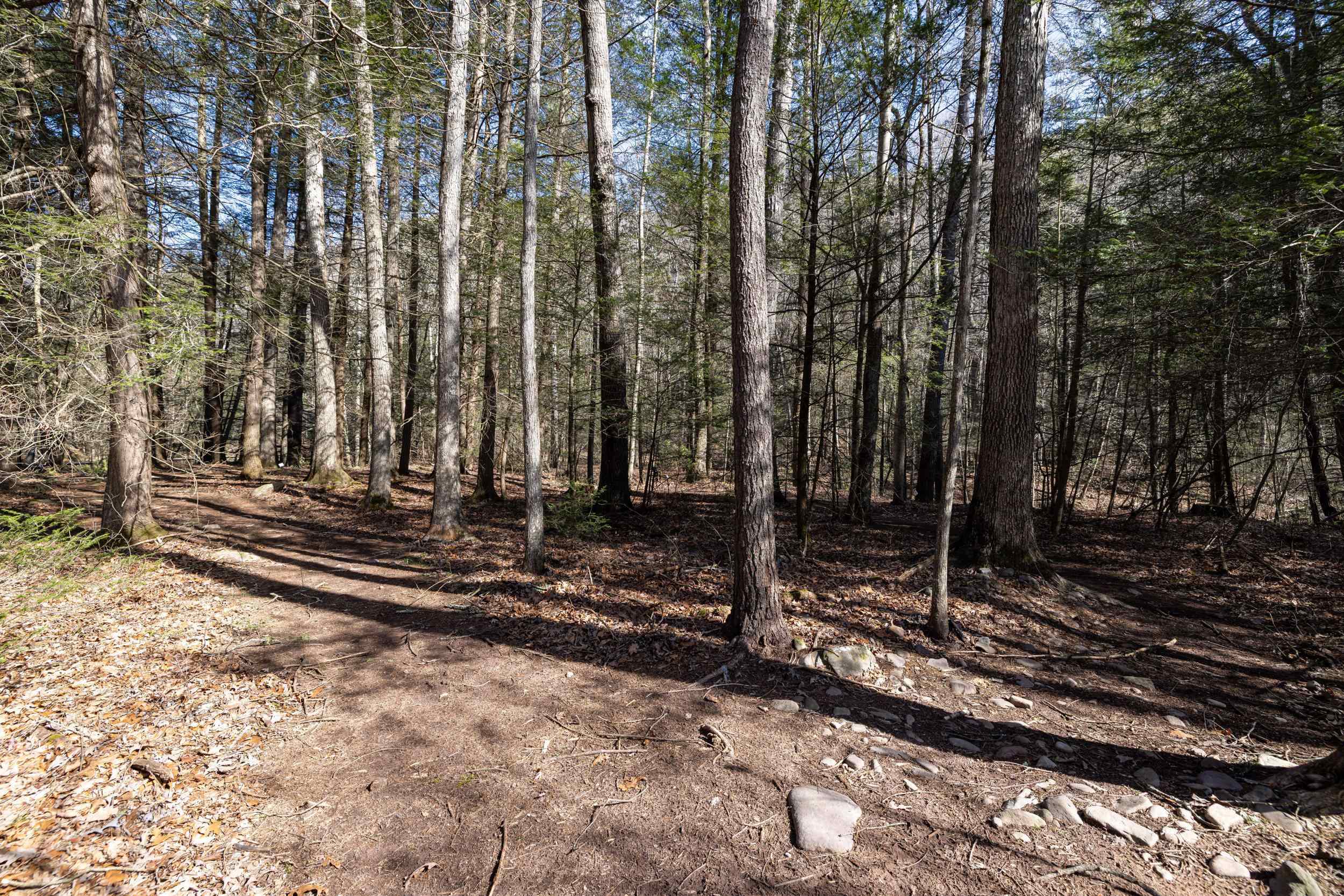 9601 Briery Branch Road Dayton, VA 22821 - Photo 50 of 73 Gallery Image 50