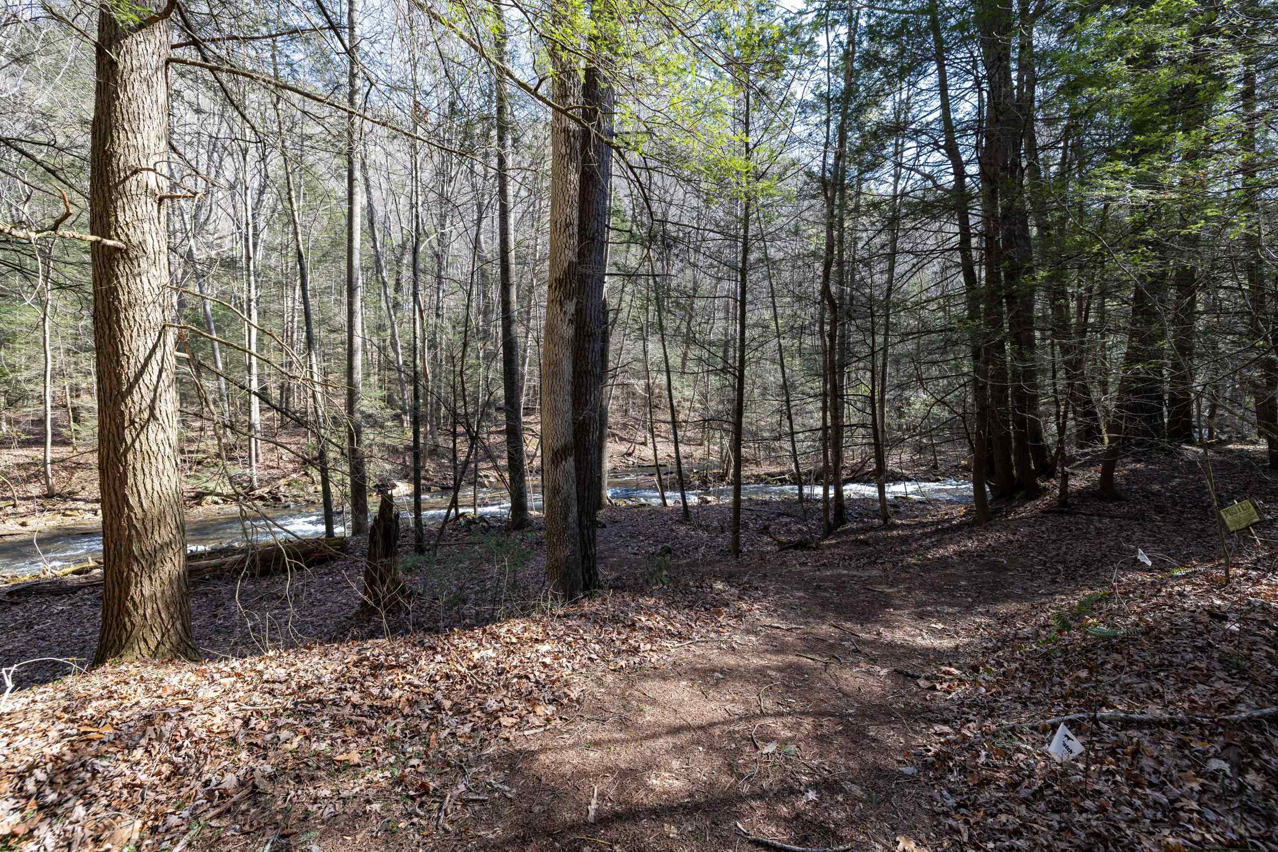 9601 Briery Branch Road Dayton, VA 22821 - Photo 51 of 73 Gallery Image 51