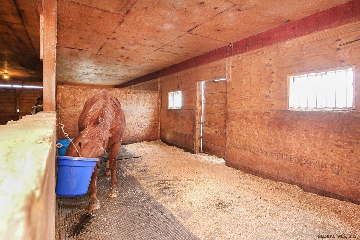 37 Staniak Road Halfmoon, NY 12118 - Photo 19 of 26 Photo 20