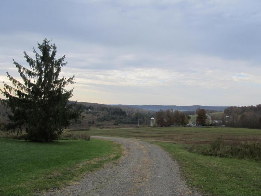 85 Lamb Road Lisle, NY 13797 - Photo 15 of 16 Gallery Image 15