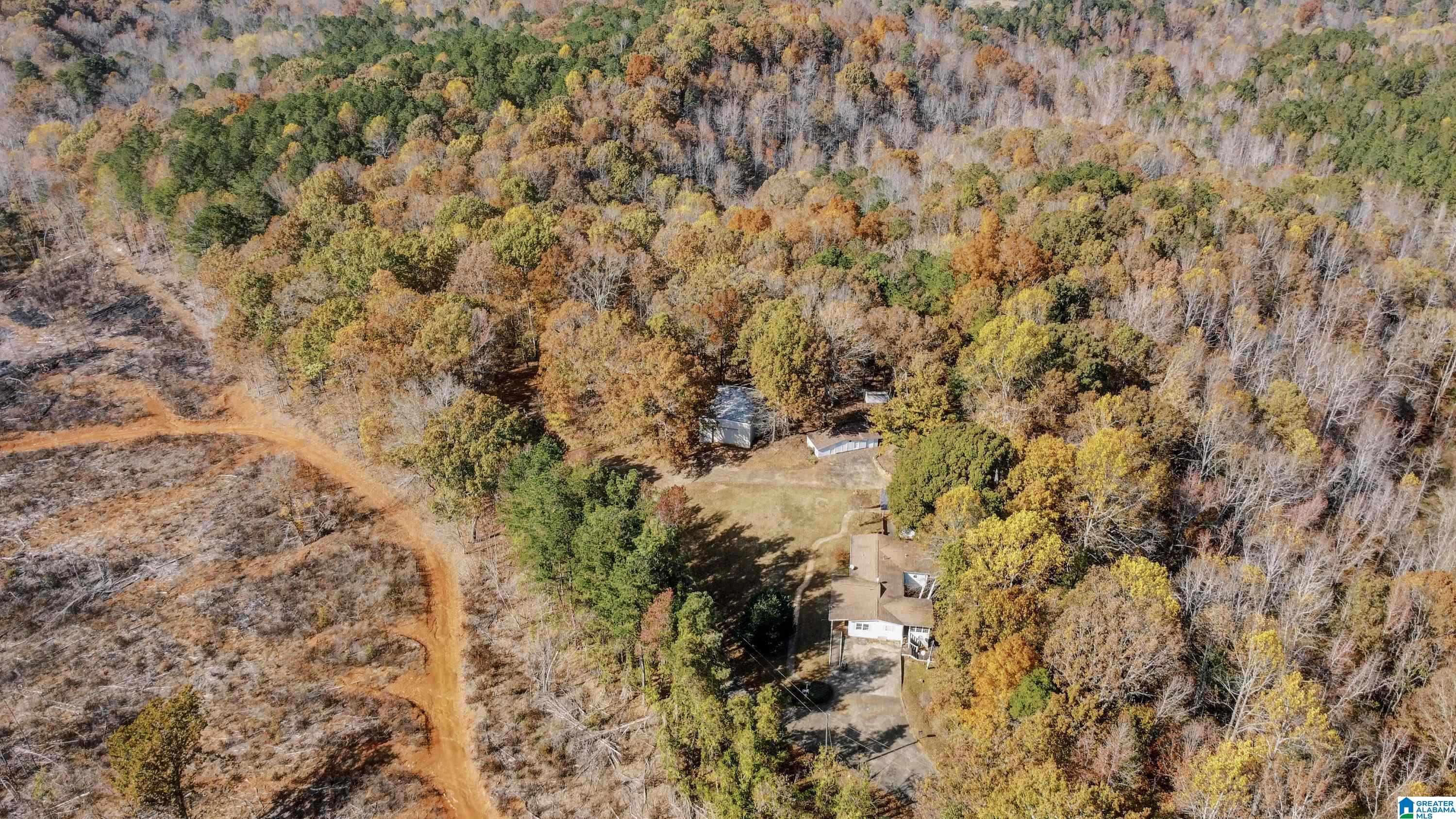 526 County Road 125 Heflin, AL 36264 - Photo 64 of 83