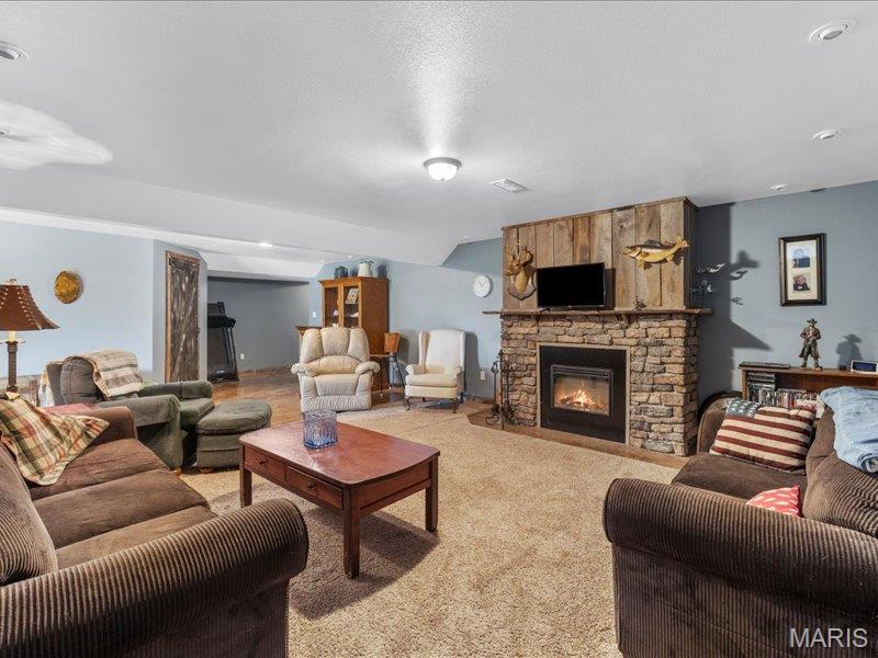 389 Madison Drive Bismarck, MO 63624 - Photo 24 of 47