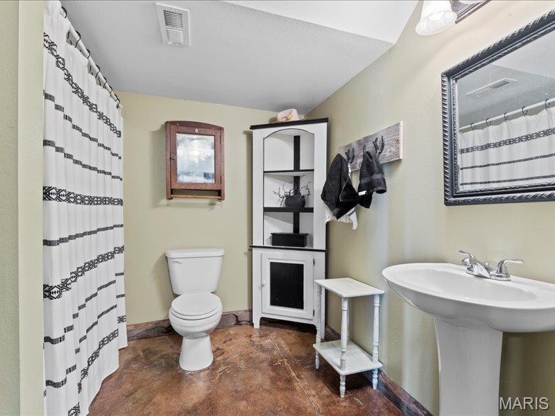 389 Madison Drive Bismarck, MO 63624 - Photo 29 of 47