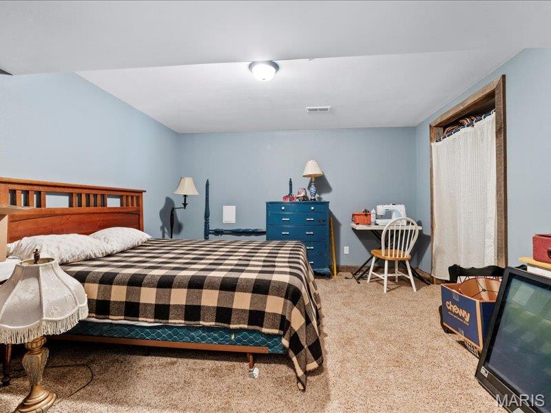 389 Madison Drive Bismarck, MO 63624 - Photo 30 of 47