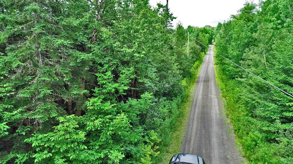 Lot 8 Laskey Road Houlton, ME 04730 - Photo 8 of 25 me-land-forest-acreage
