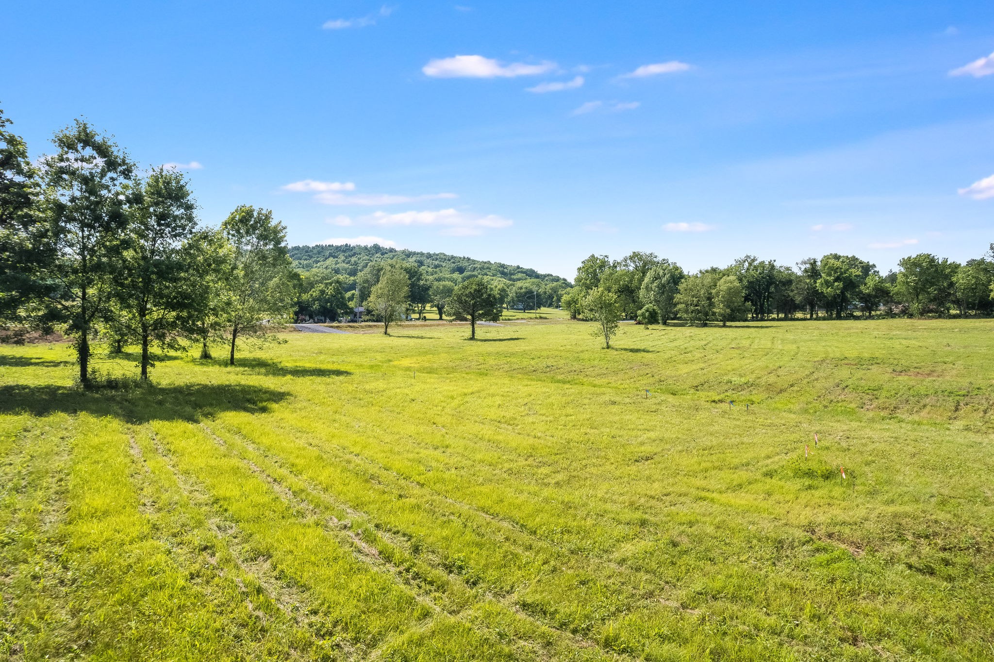 5871 Cainsville Road Lebanon, TN 37090 - Photo 5 of 8 Gallery Image 5
