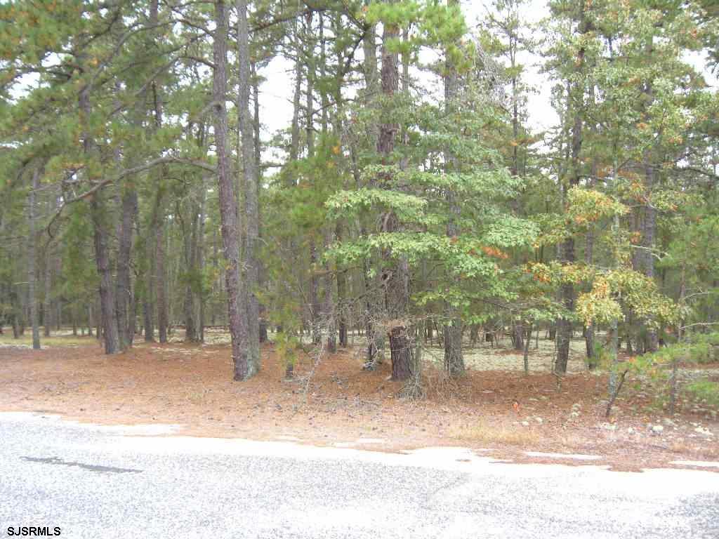 Barth Road Millville, NJ 08332 - Photo 1 of 1 Gallery Image 1