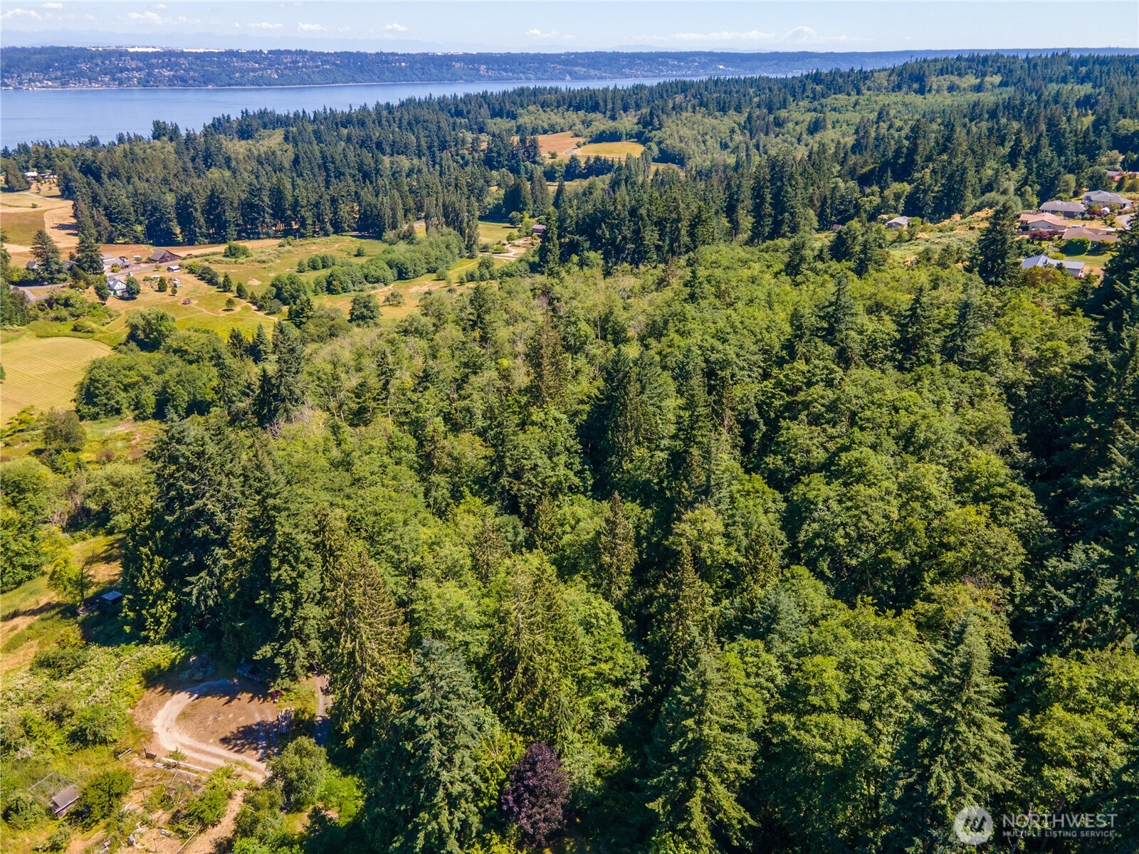 0 East Heggeness Road Clinton, WA 98236 - Photo 19 of 19 a view of a lush green forest with a mountain and trees