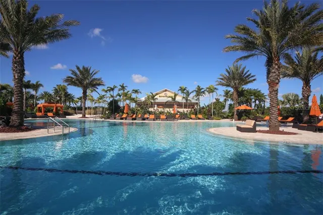 a view of a swimming pool with a lawn chairs under palm trees