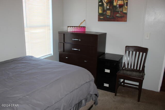 15510 Northwest Jw Rackley Street Altha, FL 32421 - Photo 47 of 49 Gallery Image 47