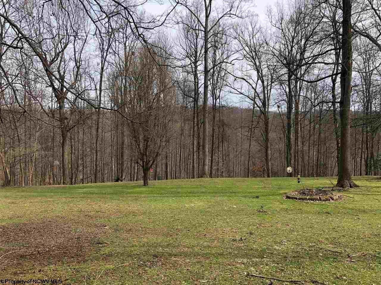 597 Co Rte 9/4 Buckhannon, WV 26201 - Photo 20 of 20 Gallery Image 20