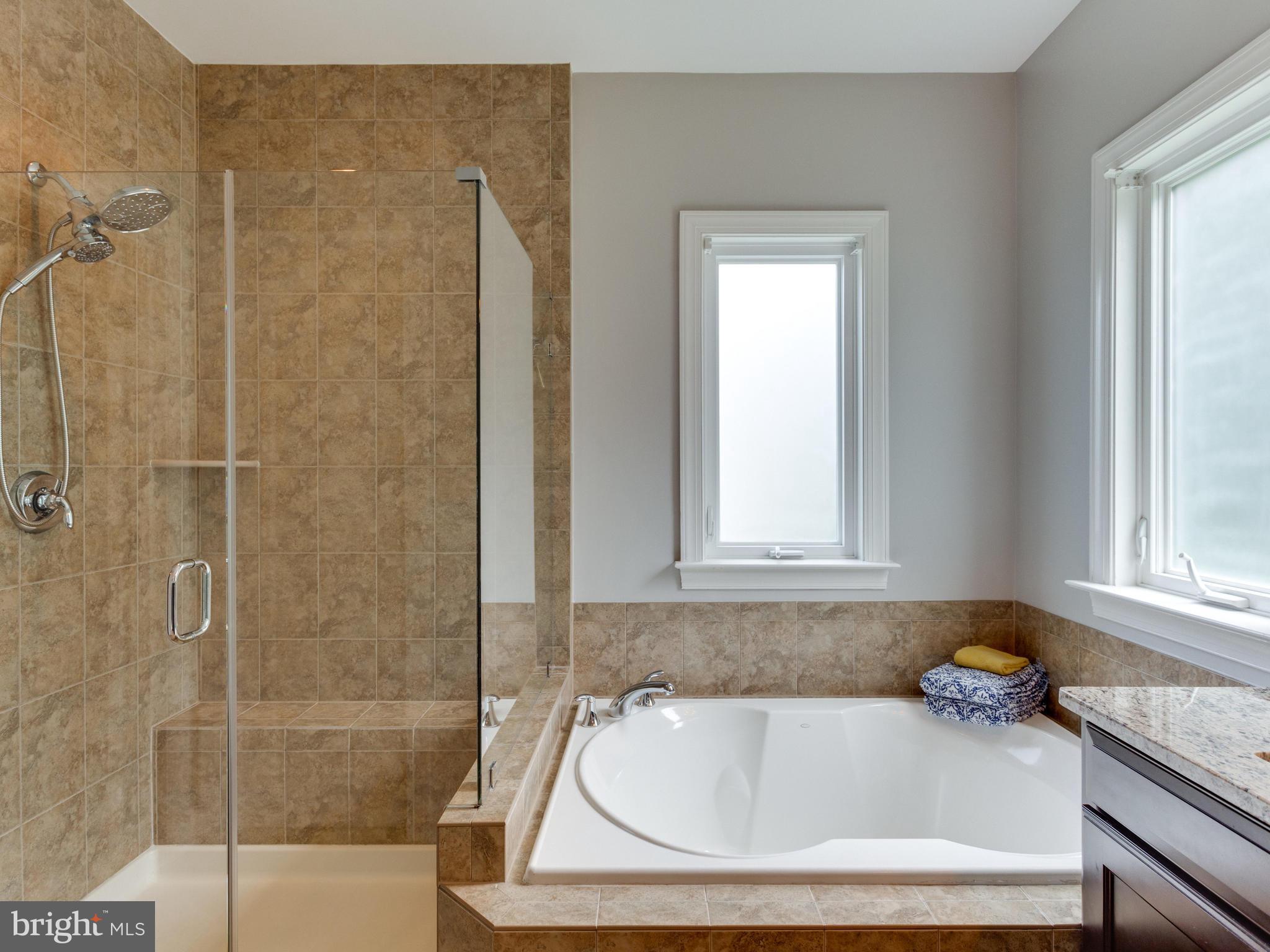 618 Tapawingo Road Southwest Vienna, VA 22180 - Photo 14 of 29 Soaking tub, separate shower and water closet.