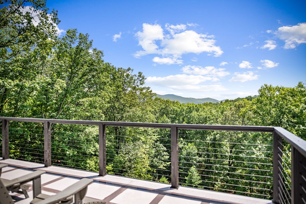880 Little Bushy Head Road Blue Ridge, GA 30513 - Photo 46 of 51 Gallery Image 46