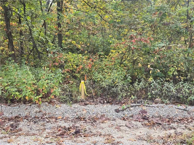 $30,900 | 3 Geronimo Springs Road, Macks Creek, MO 65786