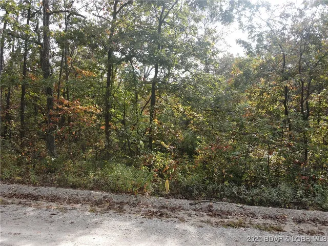 $30,900 | 3 Geronimo Springs Road, Macks Creek, MO 65786