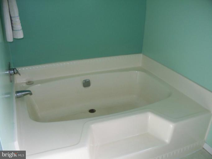 3932 Highland Ridge Road Berkeley Springs, WV 25411 - Photo 12 of 30 a bathroom with a bathtub