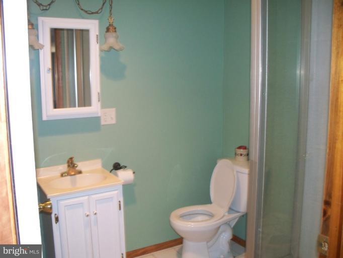 3932 Highland Ridge Road Berkeley Springs, WV 25411 - Photo 17 of 30 a bathroom with a sink and toilet