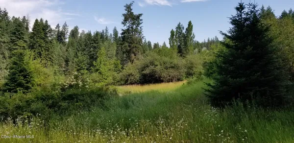 $345,000 | Tbd East Sunnyside Road, Coeur D'Alene, ID 83814