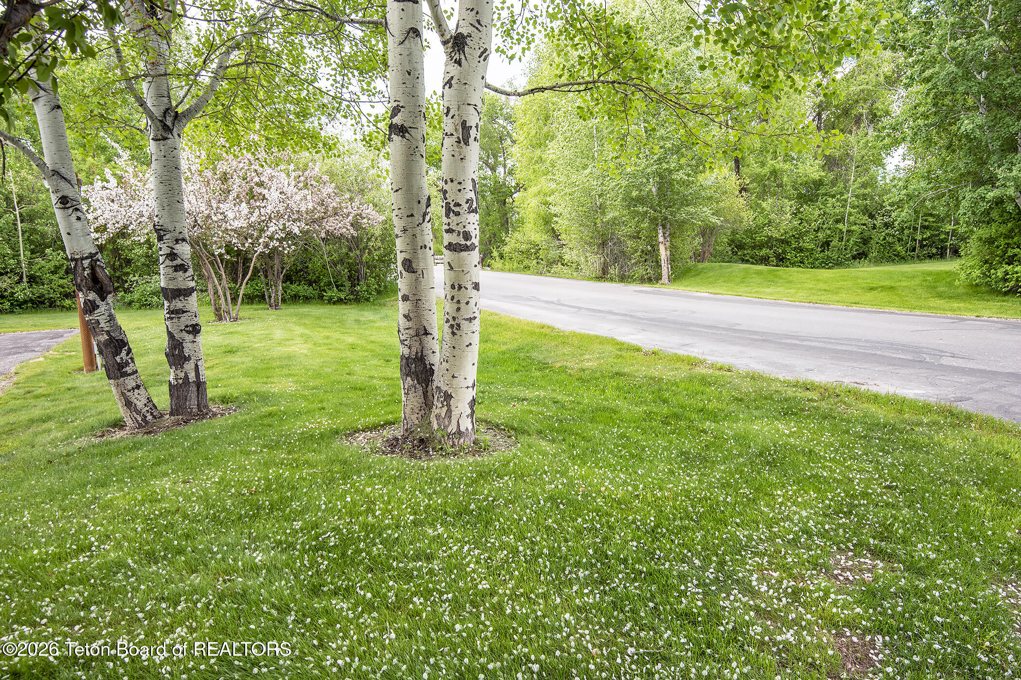 2740 Shadowmoon Lane, Unit 218 Driggs, ID 83422 - Photo 24 of 37 TCR_exterior_14