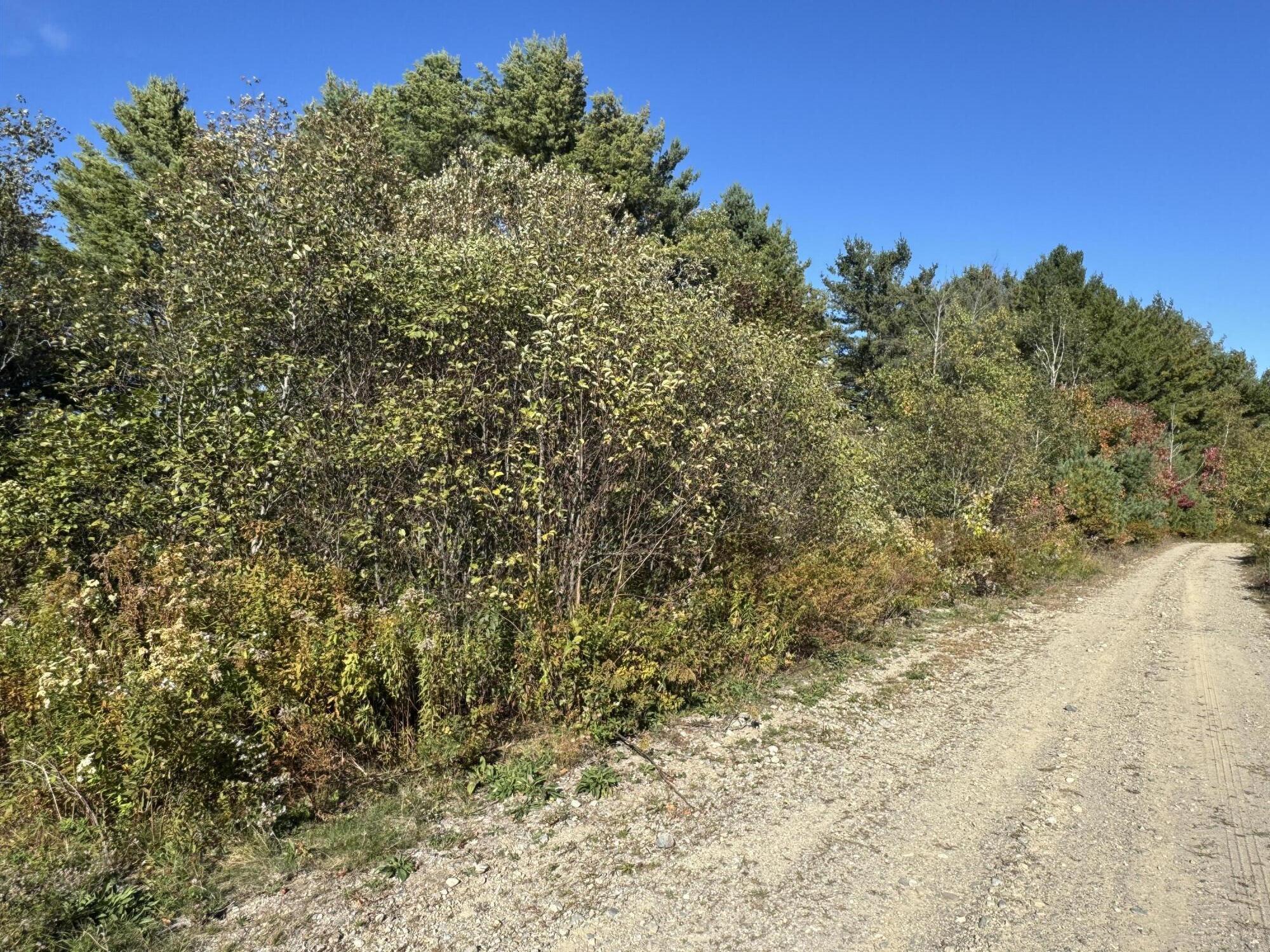 Lot 19-1 Green Valley Road Stockton Springs, ME 04981 - Photo 9 of 10 20250922_192701429_iOS