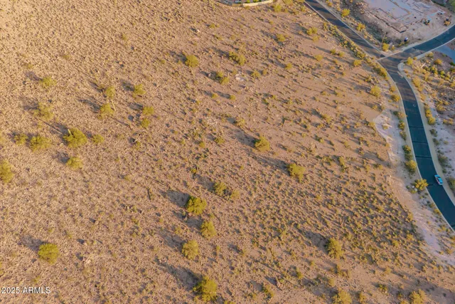 a close up of a plant