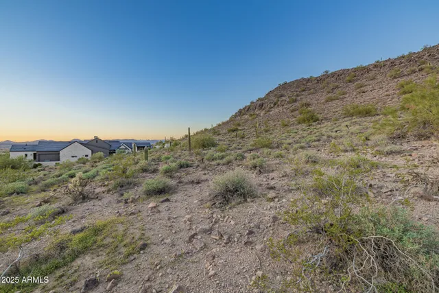 a view of a dry yard with mountains in the background