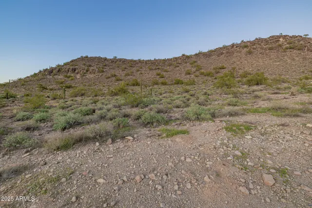a view of a dry space with mountains in the background
